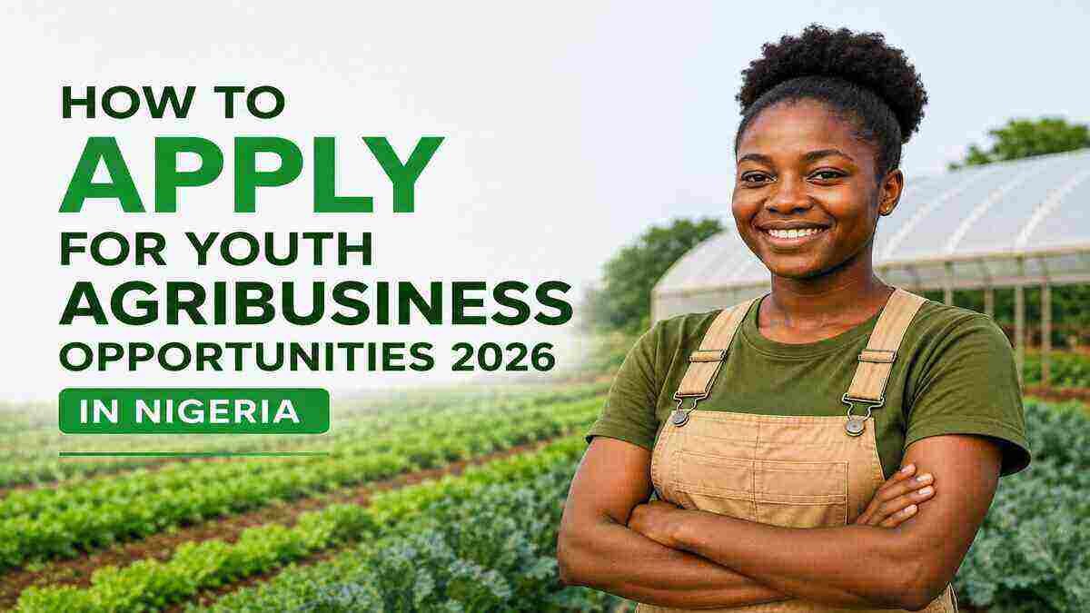 How to Apply for Youth Agribusiness Opportunities 2026