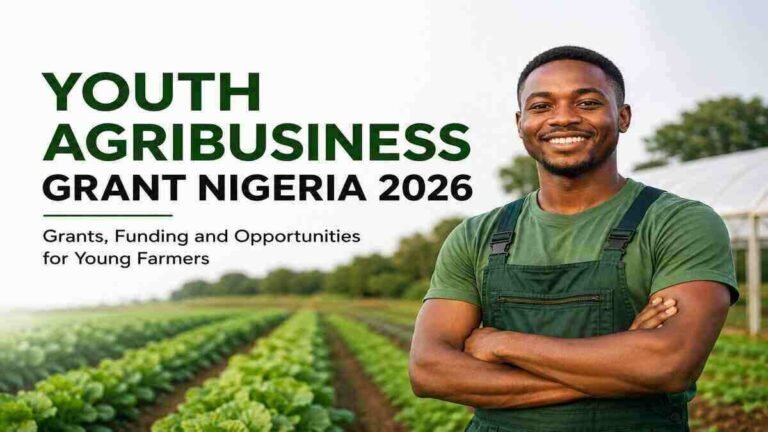Youth Agribusiness Grant Nigeri