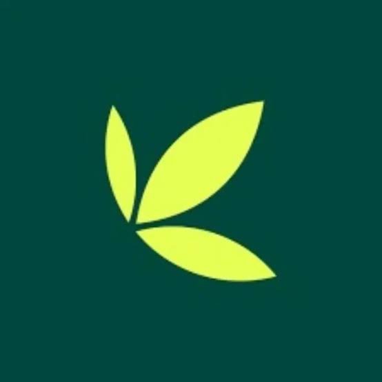 Bamboo App Crashes as Investors Rush to Dangote Refinery ₦2.15tn Public Offer