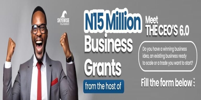 Skyewise Foundation ₦15 Million Business Grant