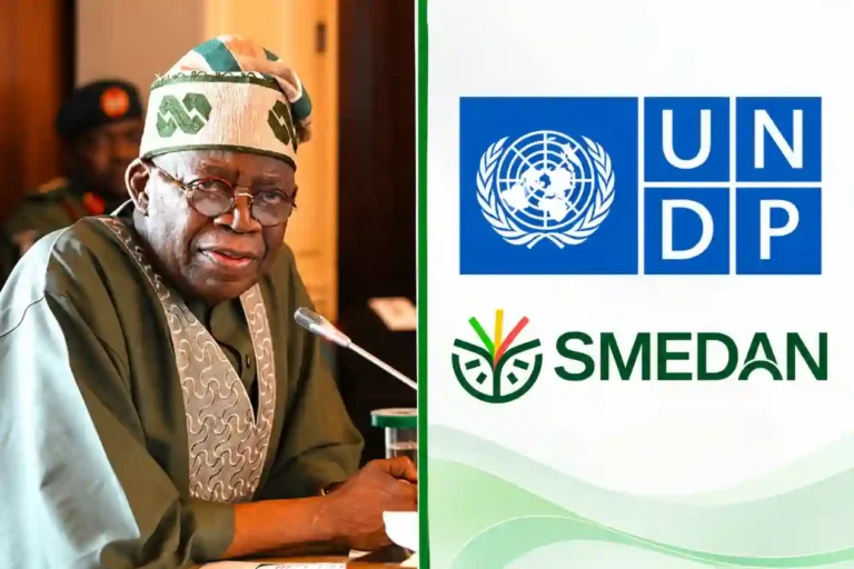 $12m FG Entrepreneurship Centre: How Nigerian MSMEs and Startups Will Benefit